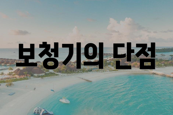 보청기의 단점