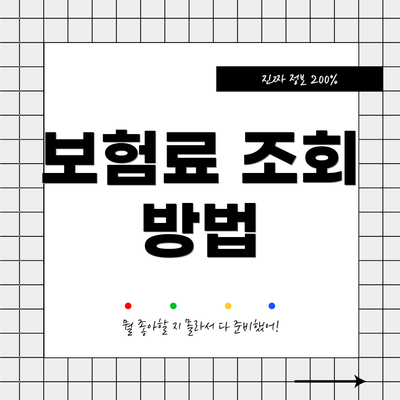 보험료 조회 방법