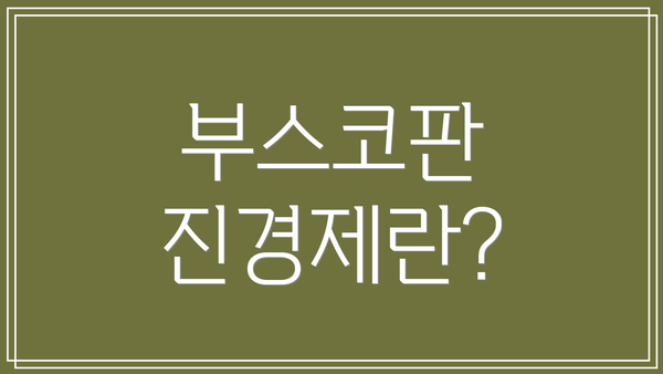 부스코판 진경제란?