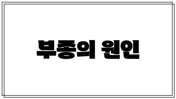 부종의 원인