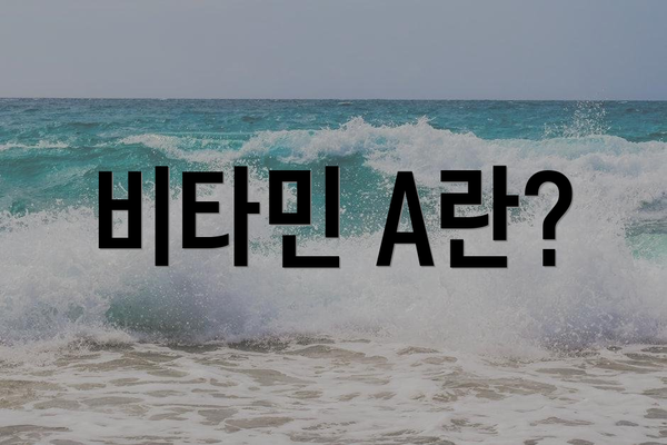 비타민 A란?
