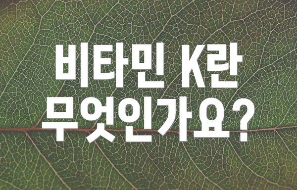 비타민 K란 무엇인가요?