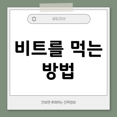 비트를 먹는 방법