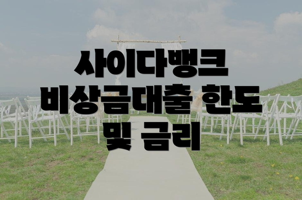 사이다뱅크 비상금대출 한도 및 금리