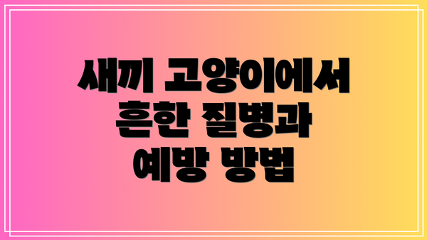 새끼 고양이에서 흔한 질병과 예방 방법