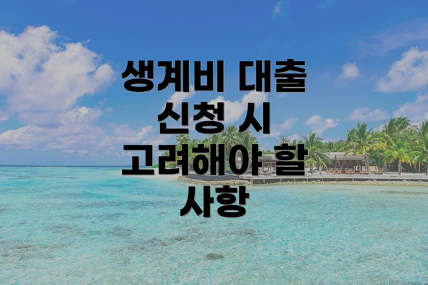 생계비 대출 신청 시 고려해야 할 사항