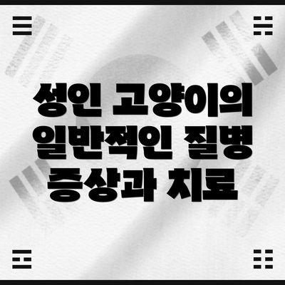 성인 고양이의 일반적인 질병 증상과 치료