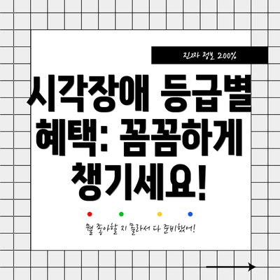 시각장애 등급별 혜택: 꼼꼼하게 챙기세요!