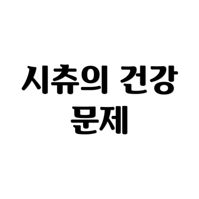 시츄의 건강 문제