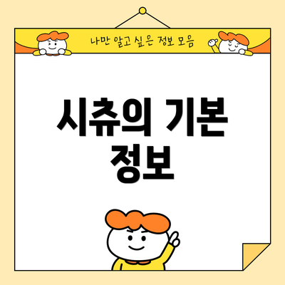 시츄의 기본 정보