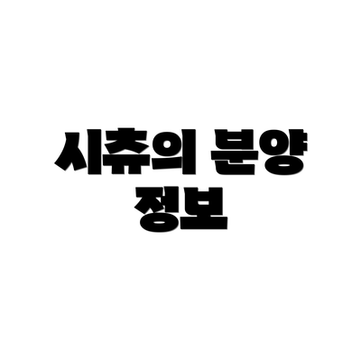 시츄의 분양 정보