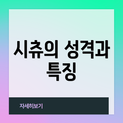 시츄의 성격과 특징