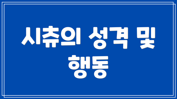 시츄의 성격 및 행동