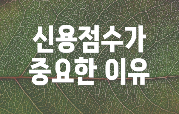 신용점수가 중요한 이유
