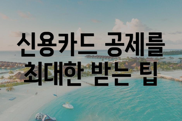 신용카드 공제를 최대한 받는 팁