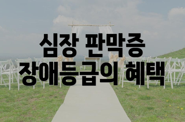 심장 판막증 장애등급의 혜택