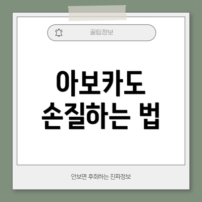 아보카도 손질하는 법