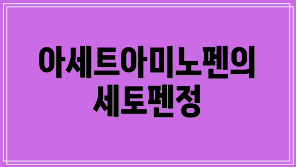 아세트아미노펜의 세토펜정