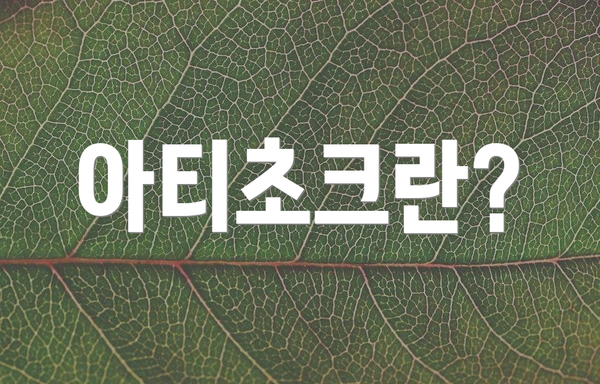 아티초크란?