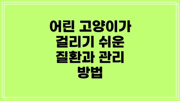 어린 고양이가 걸리기 쉬운 질환과 관리 방법