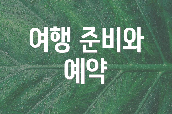 여행 준비와 예약