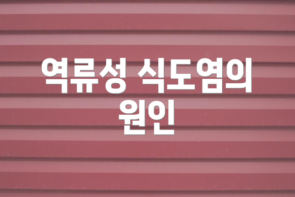 역류성 식도염의 원인