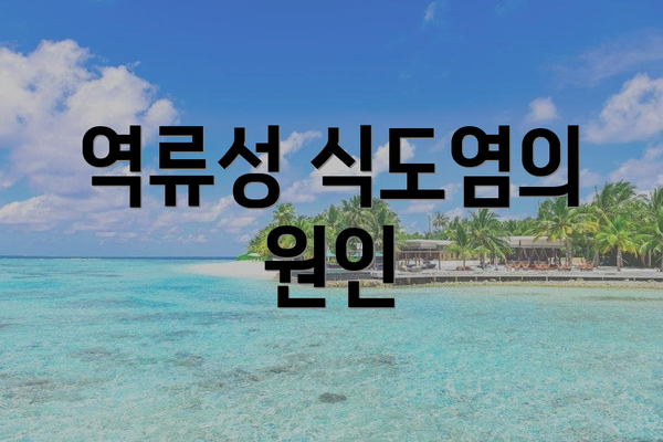 역류성 식도염의 원인