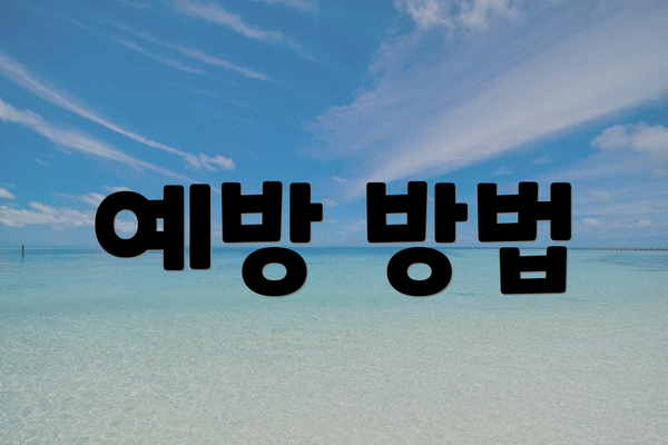 예방 방법