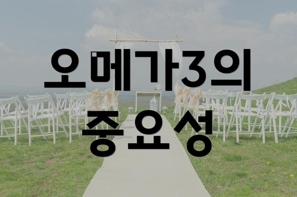 오메가3의 중요성