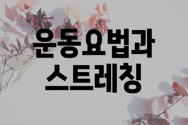 운동요법과 스트레칭