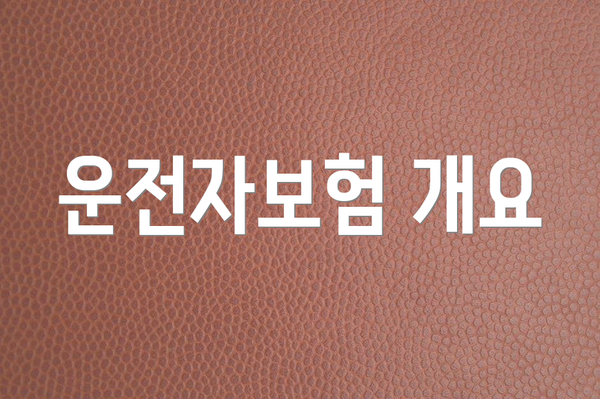 운전자보험 개요