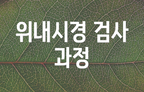 위내시경 검사 과정