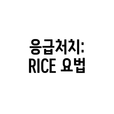 응급처치: RICE 요법