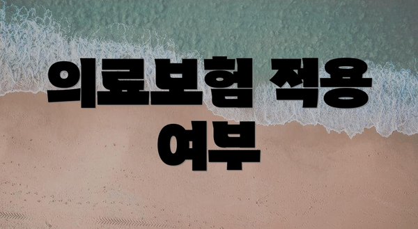 의료보험 적용 여부