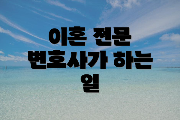 이혼 전문 변호사가 하는 일