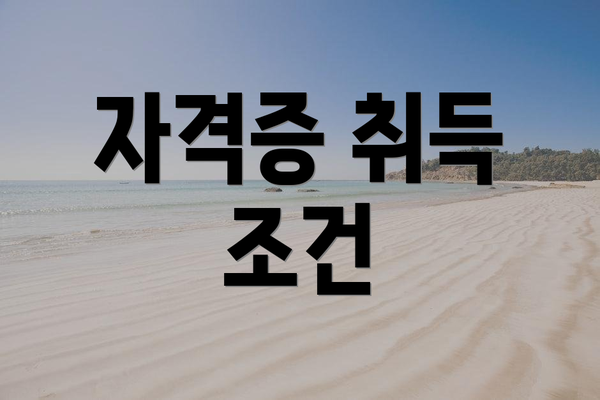 자격증 취득 조건