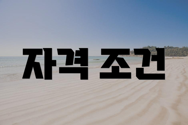 자격 조건