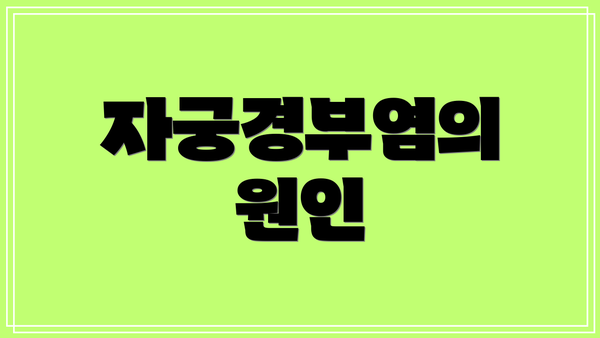 자궁경부염의 원인