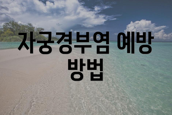 자궁경부염 예방 방법