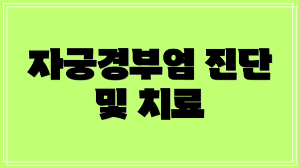 자궁경부염 진단 및 치료