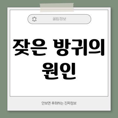 잦은 방귀의 원인