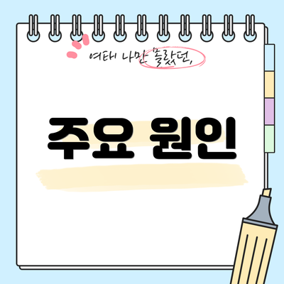 주요 원인