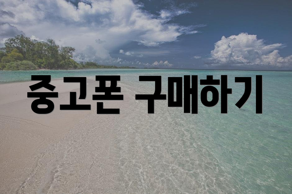 중고폰 구매하기