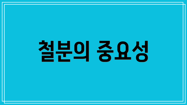 철분의 중요성