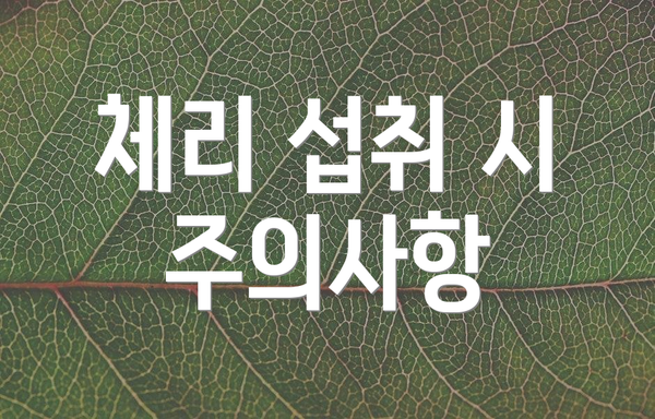 체리 섭취 시 주의사항