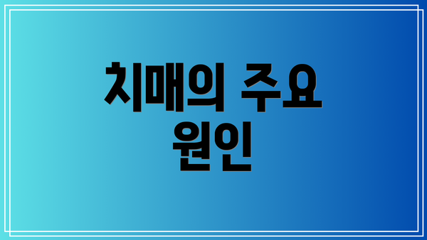치매의 주요 원인