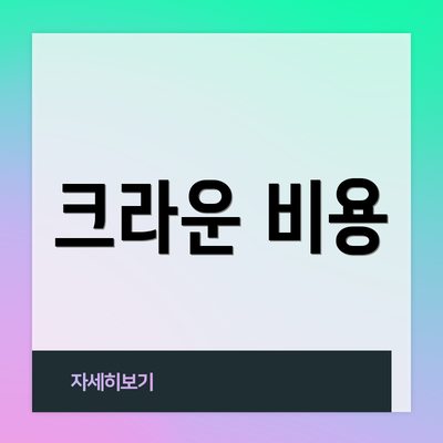 크라운 비용