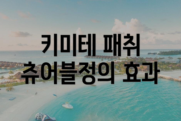 키미테 패취 츄어블정의 효과