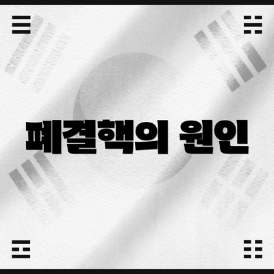 폐결핵의 원인