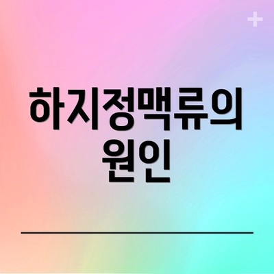 하지정맥류의 원인